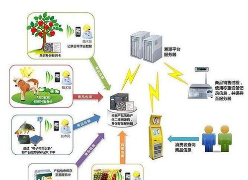 「碼」上知道 唐山香宇肉制品全程溯源入“云”，揭秘真正安全品質